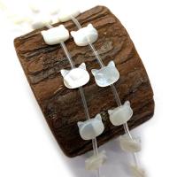 Natural Freshwater Shell Beads White Shell with Black Shell Cat DIY Sold By PC