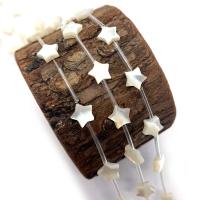 Natural Freshwater Shell Beads, White Shell, with Black Shell & Pink Shell & Yellow Shell, Star, DIY, more colors for choice, 8mm, Sold By PC