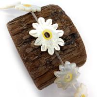 Natural White Shell Beads, Flower, DIY & different size for choice, white, Sold By PC