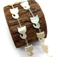 Natural White Shell Beads Cat DIY white Sold By PC
