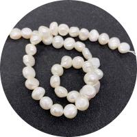 Knap ferskvandskulturperle Beads, Ferskvandsperle, Runde, poleret, du kan DIY & forskellig størrelse for valg, hvid, Solgt Per Ca. 14.96 inch Strand