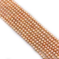 Cultured Round Freshwater Pearl Beads polished DIY Sold Per Approx 14.96 Inch Strand