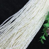 Trochus Shell Beads DIY white Sold Per Approx 38 cm Strand