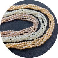 Rýže kultivované sladkovodní perle, Sladkovodní Pearl, lesklý, DIY & různé velikosti pro výběr, více barev na výběr, Prodáno za Cca 14.96 inch Strand