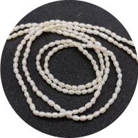 Rýže kultivované sladkovodní perle, Sladkovodní Pearl, lesklý, DIY & různé velikosti pro výběr, bílý, Prodáno za Cca 14.96 inch Strand