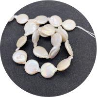 Keishi 培養した淡水の真珠, 天然有核フレッシュウォーターパール, ラウンド形, 洗練されました。, DIY, ホワイト, 15-16mm, で販売される 約 14.96 インチ ストランド