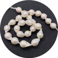 Barocco coltivate in acqua dolce Perla, perla d'acquadolce coltivata naturalmente, Irregolare, lucido, DIY, bianco, 12x18-15x20mm, Venduto per Appross. 14.96 pollice filo