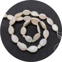 Koraliki Keishi z hodowlanych pereł słodkowodnych, Perła naturalna słodkowodna, elipsa, obyty, DIY, biały, 9x15mm, sprzedawane na około 14.96 cal Strand