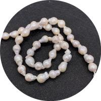 Barokna Kulturan Slatkovodni Pearl perle, Krug, uglađen, možete DIY, bijel, 7-8mm, Prodano Per Približno 14.96 inčni Strand