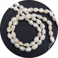 Cultured Baroque Freshwater Pearl Beads, irregular, polished, DIY, white, 7-8mm, Sold Per Approx 14.96 Inch Strand