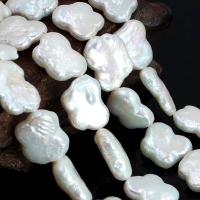 Perle perline Keishi coltivate d'acqua dolce, perla d'acquadolce coltivata naturalmente, Barocco, naturale, DIY, bianco, 10x15mm, Venduto per Appross. 15.75 pollice filo
