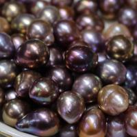 Naturalne perły słodkowodne perełki luźne, Perła naturalna słodkowodna, DIY & bez otworu, 10-13mm, 10komputery/torba, sprzedane przez torba