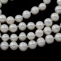 Perlas Redondas Freshwater, Perlas cultivadas de agua dulce, Esférico, Blanco, Vendido para aproximado 48 Inch Sarta