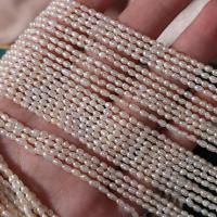 Perlas Arroz Freshwater, Perlas cultivadas de agua dulce, Blanco, 4-5mm, Vendido para aproximado 13 Inch Sarta