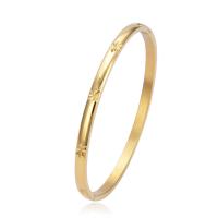 Titanium Steel Bangle, Round, plated, fashion jewelry & for woman, more colors for choice, 4mm, Inner Diameter:Approx 60x50mm, Sold By PC
