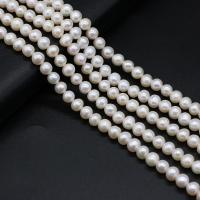 Perlas Redondas Freshwater, Perlas cultivadas de agua dulce, Esférico, Bricolaje, Blanco, 6-7mm, Vendido para aproximado 14.17 Inch Sarta