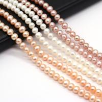 Cultured Potato Freshwater Pearl Beads, Round, natural, DIY, more colors for choice, 5-5.5mm, Sold Per Approx 14.17 Inch Strand