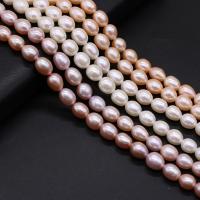 Perlas Arroz Freshwater, Perlas cultivadas de agua dulce, natural, Bricolaje, más colores para la opción, 8-9mm, Vendido para aproximado 14.17 Inch Sarta