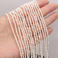 Cultured Potato Freshwater Pearl Beads, natural, DIY, white, 2-3mm, Sold Per Approx 14-15 Inch Strand