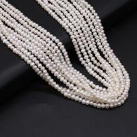 Cultured Potato Freshwater Pearl Beads, natural, DIY, white, 3-3.5mm, Sold Per Approx 14-15 Inch Strand