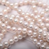 Perles de nacre rondes de culture d'eau douce, perle d'eau douce cultivée, naturel, DIY, blanc, 10mm, Vendu par Environ 14.96 pouce brin