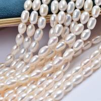Perles d'eau douce de culture de riz, perle d'eau douce cultivée, naturel, DIY, blanc, 6.5-7mm, Vendu par Environ 38-40 cm brin
