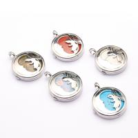 Bijoux Pendentifs en pierres gemmes, Pierre naturelle, avec alliage de zinc, Rond, Placage de couleur platine, différents matériaux pour le choix & unisexe, plus de couleurs à choisir, 25x7mm, Vendu par PC