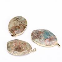 Gemstone Pendants Jewelry, Marine Fossil, with Brass, gold color plated, Unisex, mixed colors, 34x58mm, Sold By PC