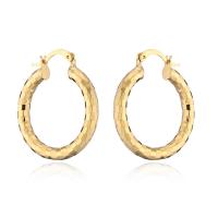 Brass Hoop Earring gold color plated for woman Sold By Pair