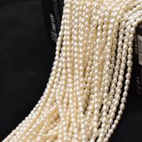 Cultured Rice Freshwater Pearl Beads, natural, DIY, more colors for choice, 3-3.5mm, Sold Per Approx 35-37 cm Strand