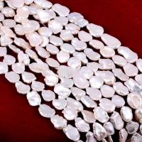 Barokní kultivované sladkovodní perle, Sladkovodní Pearl, přírodní, DIY, bílý, 10x14mm, Prodáno za Cca 14-15 inch Strand