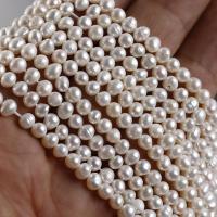 Cultured Potato Freshwater Pearl Beads Oval DIY white 4.3*5mm Approx Sold Per Approx 35 cm Strand