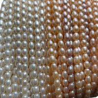 Perlas Arroz Freshwater, Perlas cultivadas de agua dulce, Bricolaje, más colores para la opción, 4-5mm, Vendido para aproximado 14.57 Inch Sarta