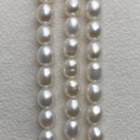 Perlas Arroz Freshwater, Perlas cultivadas de agua dulce, Bricolaje, Blanco, 5-6mm, Vendido para aproximado 14.57 Inch Sarta