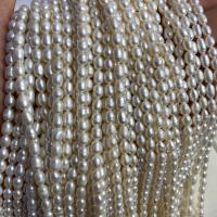 Perlas Arroz Freshwater, Perlas cultivadas de agua dulce, Bricolaje, Blanco, 5-6mm, Vendido para aproximado 14-15 Inch Sarta