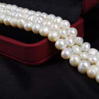 Tlačítko kultivované sladkovodní Pearl Beads, DIY, bílý, 7-8mm, Prodáno za Cca 14-15 inch Strand