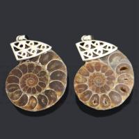 Marine Fossil Pendant, with Tibetan Style, Conch, platinum color plated, Unisex, 28x40mm, Sold By PC