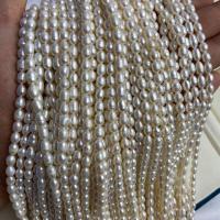 Cultured Rice Freshwater Pearl Beads DIY white 5-6mm Sold Per Approx 14-15 Inch Strand