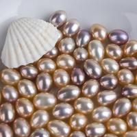 Natural Freshwater Pearl Loose Beads, Rice, DIY & different size for choice, Sold By PC