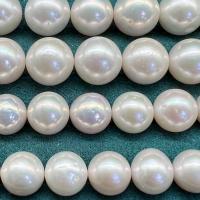 Perles nacres sans trou de culture d'eau douce, perle d'eau douce cultivée, Rond, DIY & normes différentes pour le choix & aucun trou, blanc, Vendu par PC