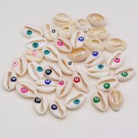 Natural Colored Shell Beads, DIY & enamel, more colors for choice, 14x18-16x20mm, Sold By PC