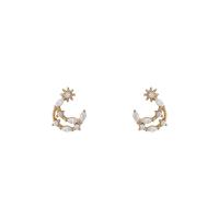 Cubic Zirconia Micro Pave Brass Earring 14K gold plated micro pave cubic zirconia & for woman 13mm Sold By Pair