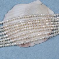 Cultured Potato Freshwater Pearl Beads, DIY, white, 3-4mm, Sold Per Approx 14-15 Inch Strand