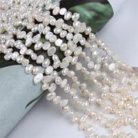 Knap ferskvandskulturperle Beads, Ferskvandsperle, Barok, du kan DIY, hvid, 5-6mm, Solgt Per Ca. 14-15 inch Strand