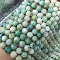 Lotus Jasper Beads polished DIY & faceted green 8mm Sold Per Approx 38 cm Strand