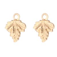 Gold Filled Pendant Leaf 14K gold-filled Approx 1mm Sold By PC