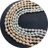 Perle perline Keishi coltivate d'acqua dolce, perla d'acquadolce coltivata naturalmente, Irregolare, lucido, DIY & formato differente per scelta, nessuno, Venduto da filo