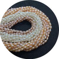Rice Kulturan Slatkovodni Pearl perle, Riža, uglađen, možete DIY & različite veličine za izbor, više boja za izbor, Prodano Per Približno 14.96 inčni Strand