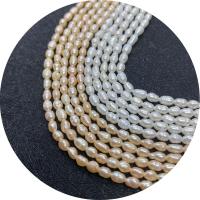 Rice Kulturan Slatkovodni Pearl perle, Riža, uglađen, možete DIY & različite veličine za izbor, više boja za izbor, Prodano Per Približno 14.96 inčni Strand