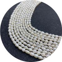 Cultured Rice Freshwater Pearl Beads, polished, DIY & different size for choice, more colors for choice, Length:Approx 14.96 Inch, Sold By PC
